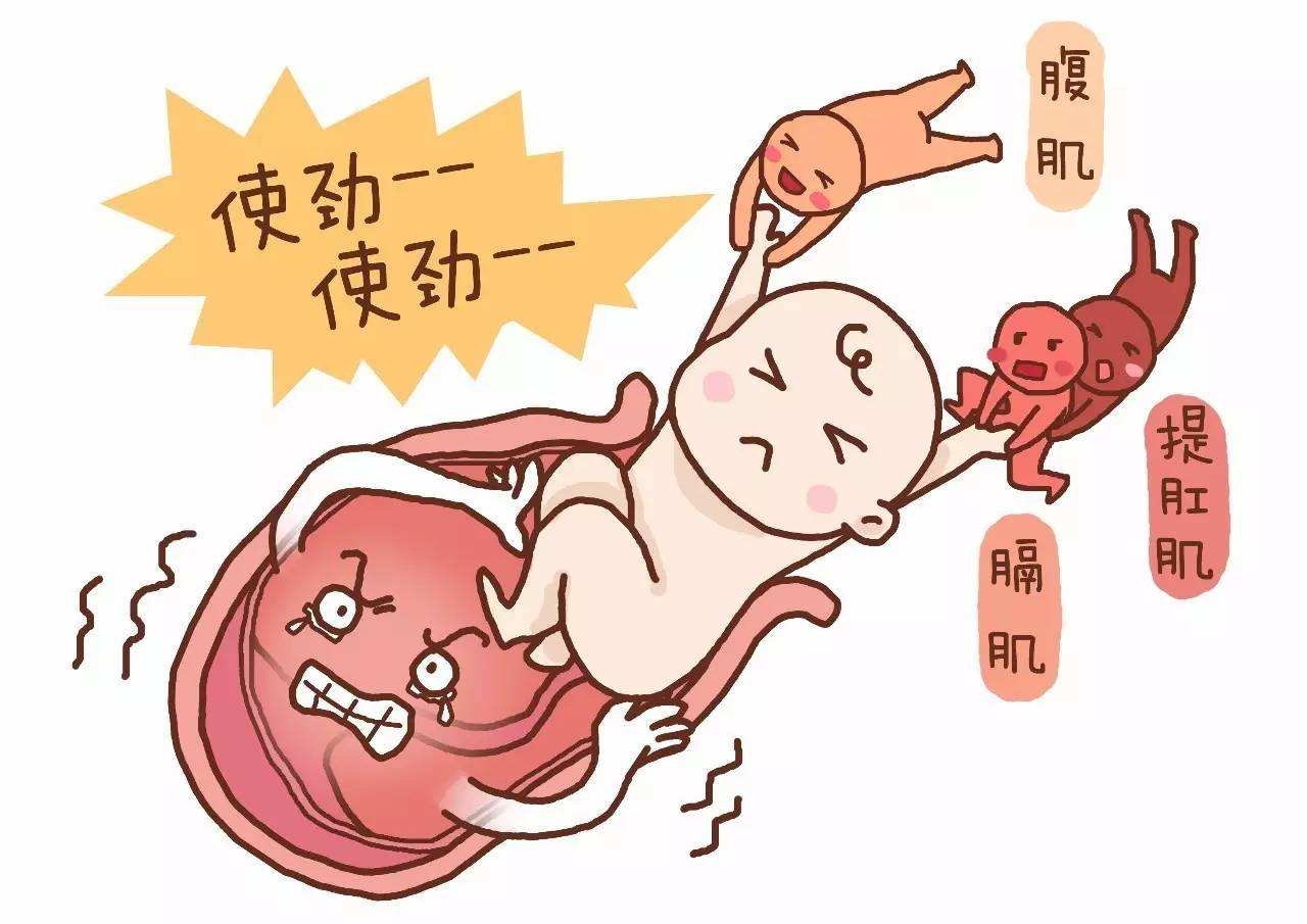 孕妇难产是什么原因,什么样的孕妇容易出现难产