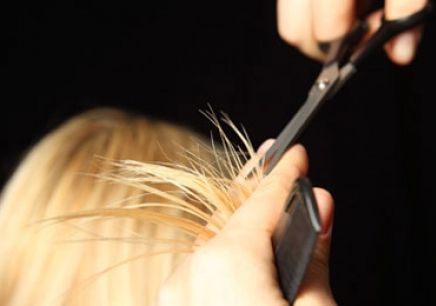 头可断发型不可乱粤语,头可断发型不能乱全集