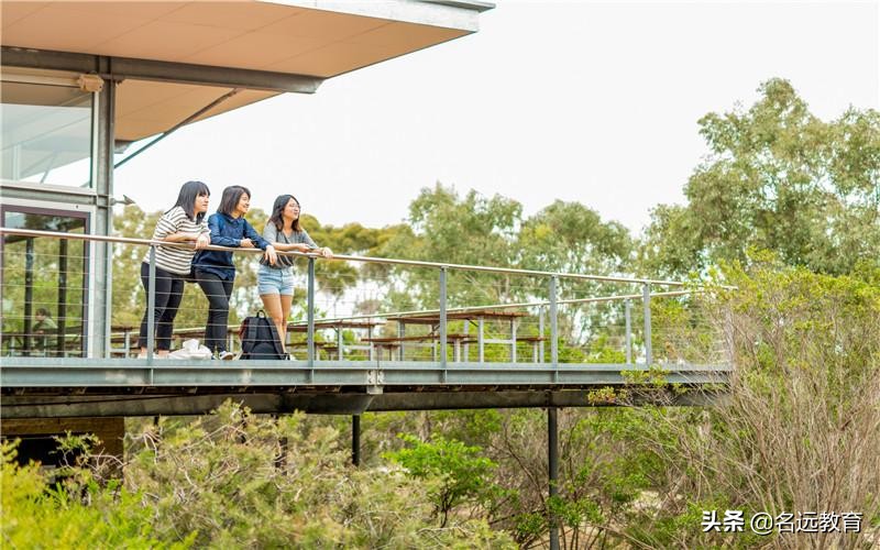 加拿大留学怎么选专业,国外留学物流专业