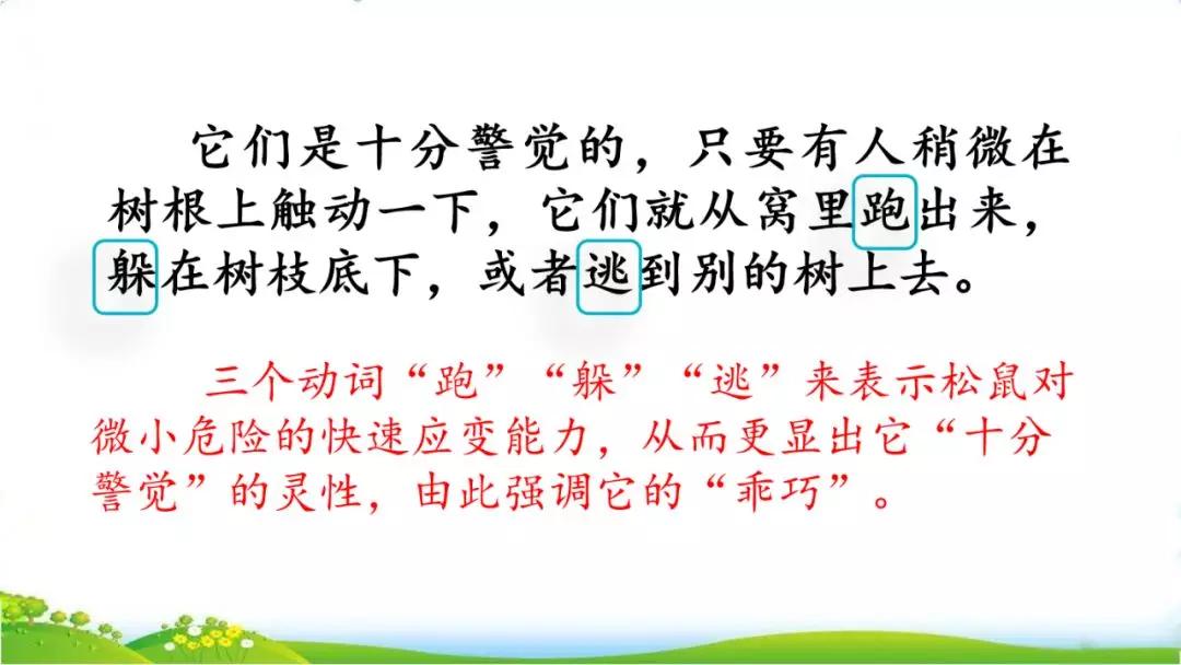 五年级语文第17课松鼠讲解,五年级上册第17课松鼠教材详解