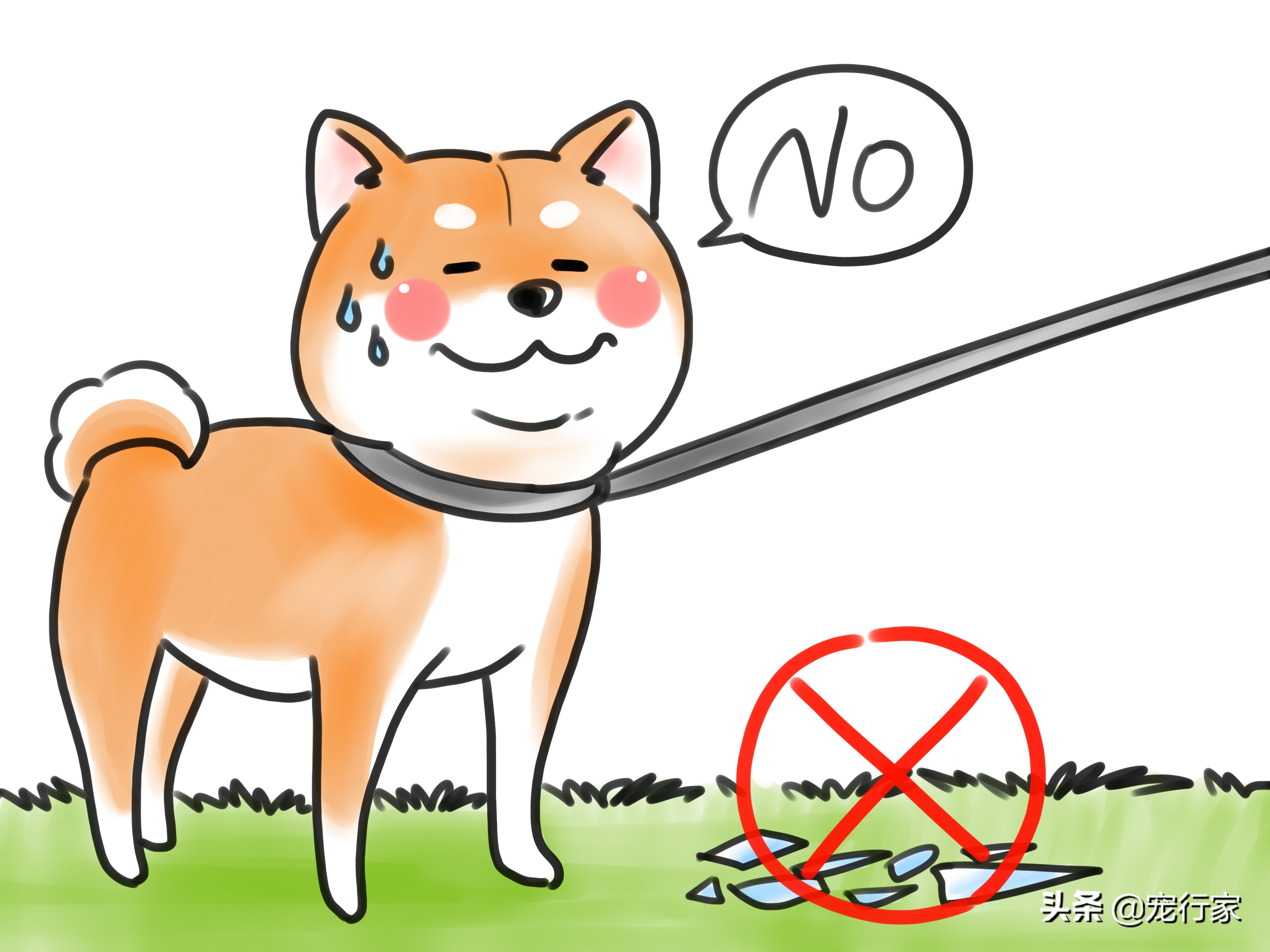 狗狗爪子指甲根部出血了怎么办,狗狗爪子受伤红肿怎么处理