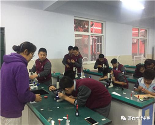 邢台太行中学初中部地址,邢台太行中学初中怎么样