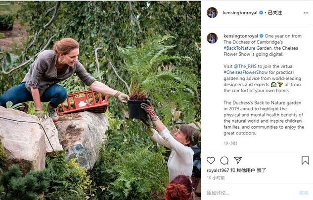 凯特王妃得体亲民的穿着,凯特王妃穿着