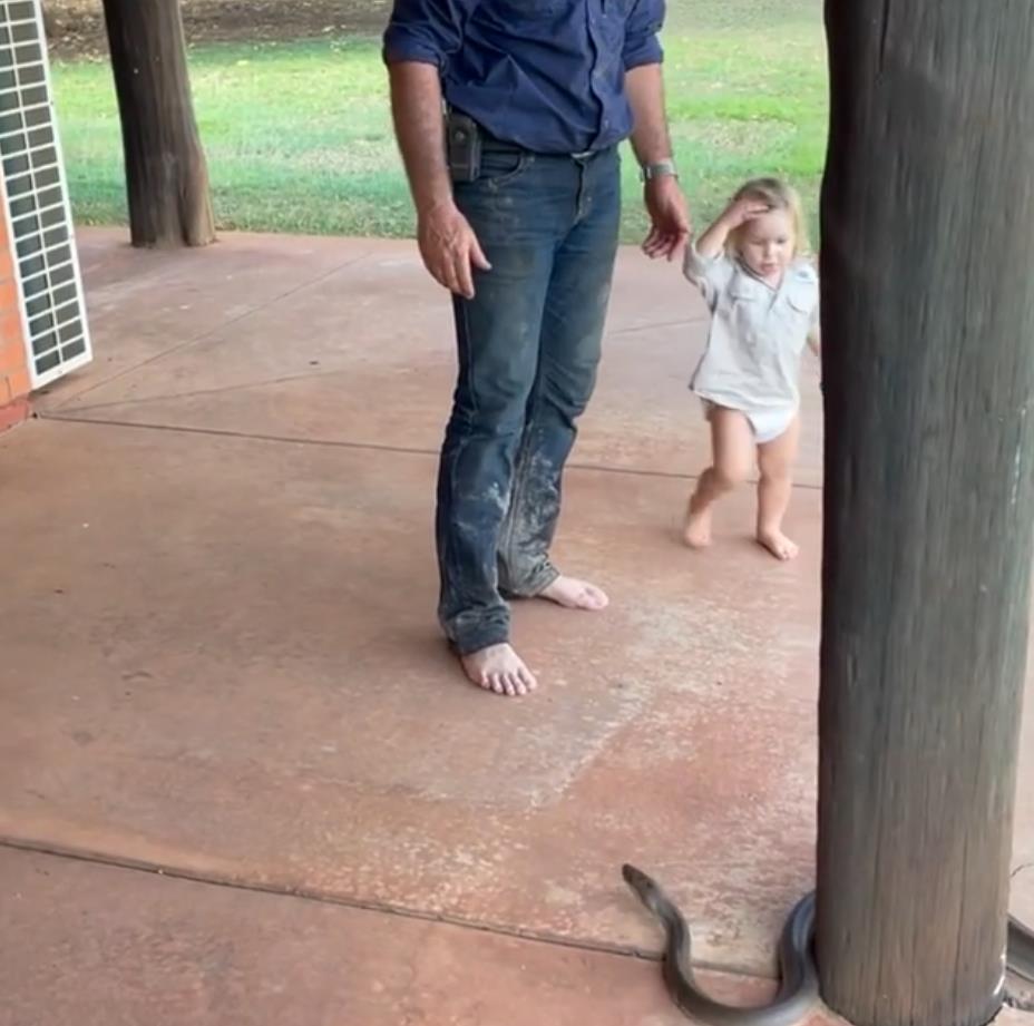 澳洲狂野早教：2岁娃单挑巨蟒，爸爸在一旁指点加油，这？