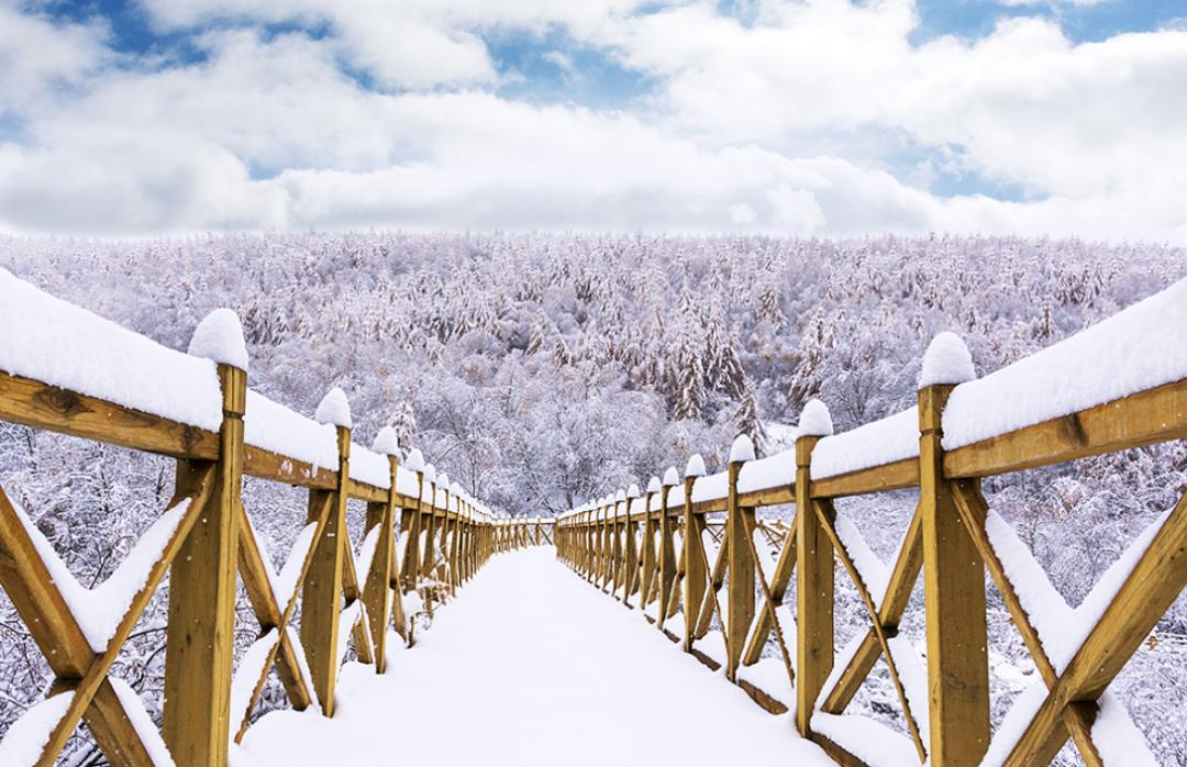 全国旅游公司有多少家,全国旅游产业集团20强