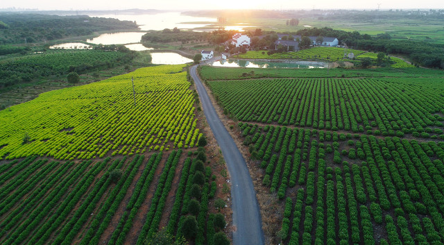 如何申办农业家庭农场,家庭农场怎么申请营业执照