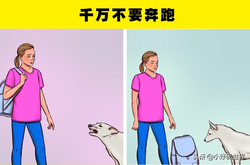 怎么让狗狗对你放下戒备心理,如果狗狗对你有攻击性该怎么办