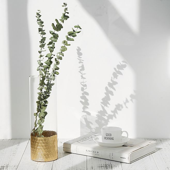 尤加利控油清洁精油,尤加利精油的18种实用玩法