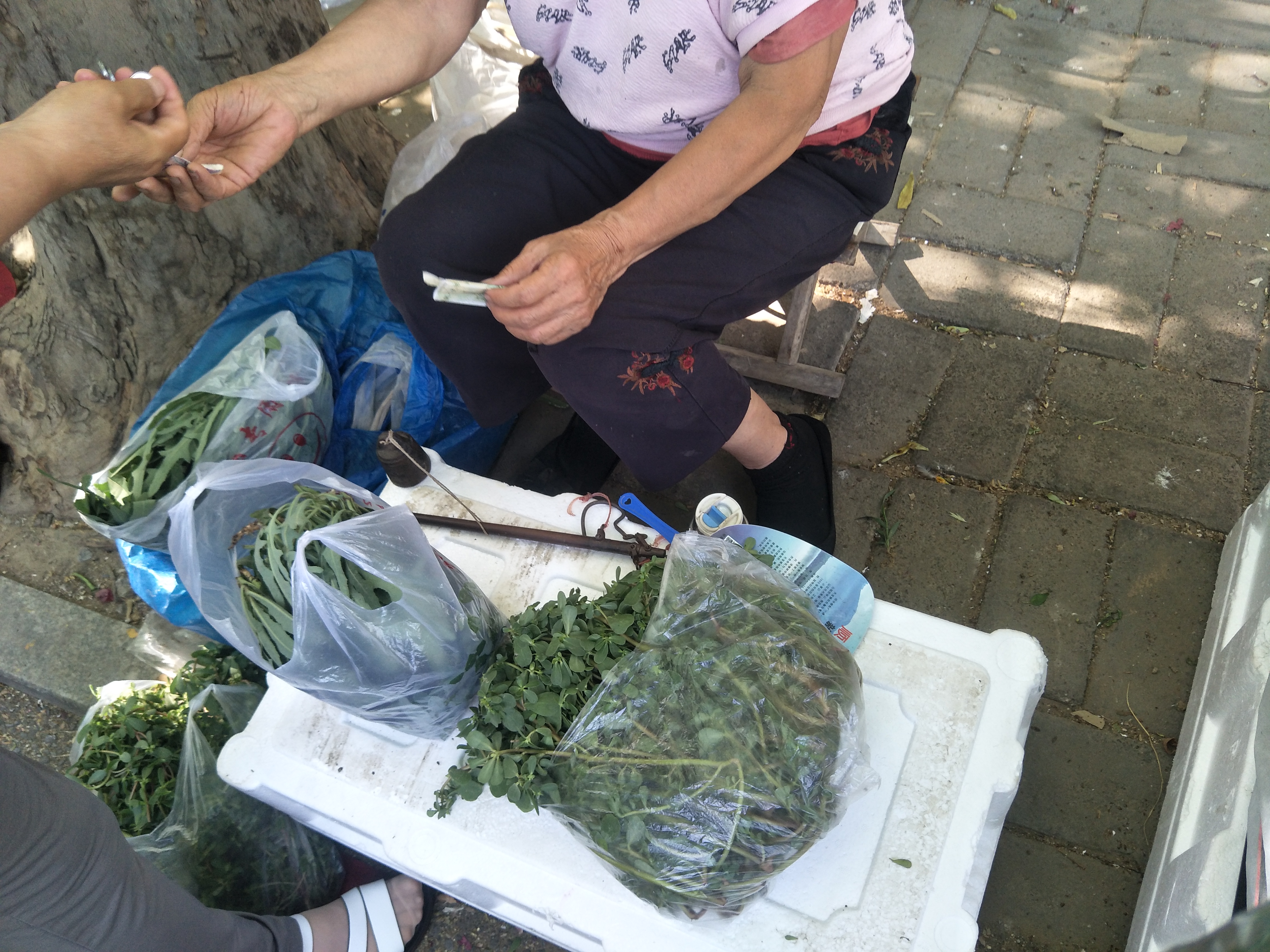 7旬老人卖野菜2元一斤,大妈野菜被贩子卖2元