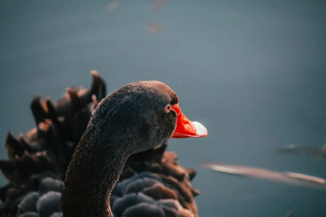 教育行业投融资分析,教育投融资现状调查