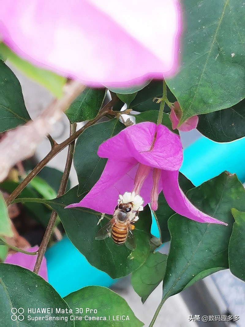 5分钟告诉你：大疆OsmoMobile3的拍照和视频技巧