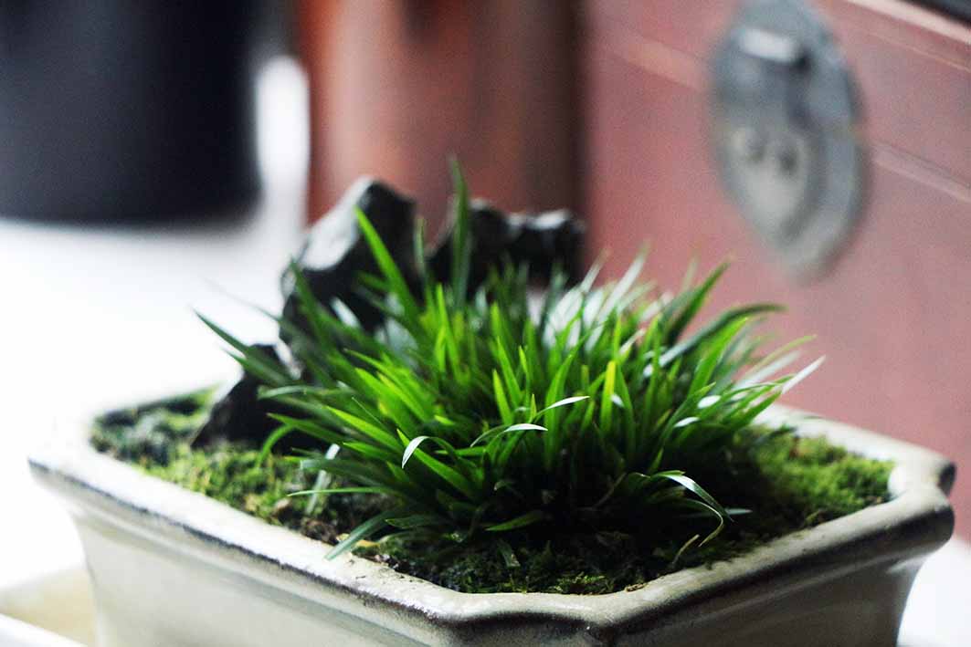 墨汁太洇墨怎么解决,墨洇纸怎么办