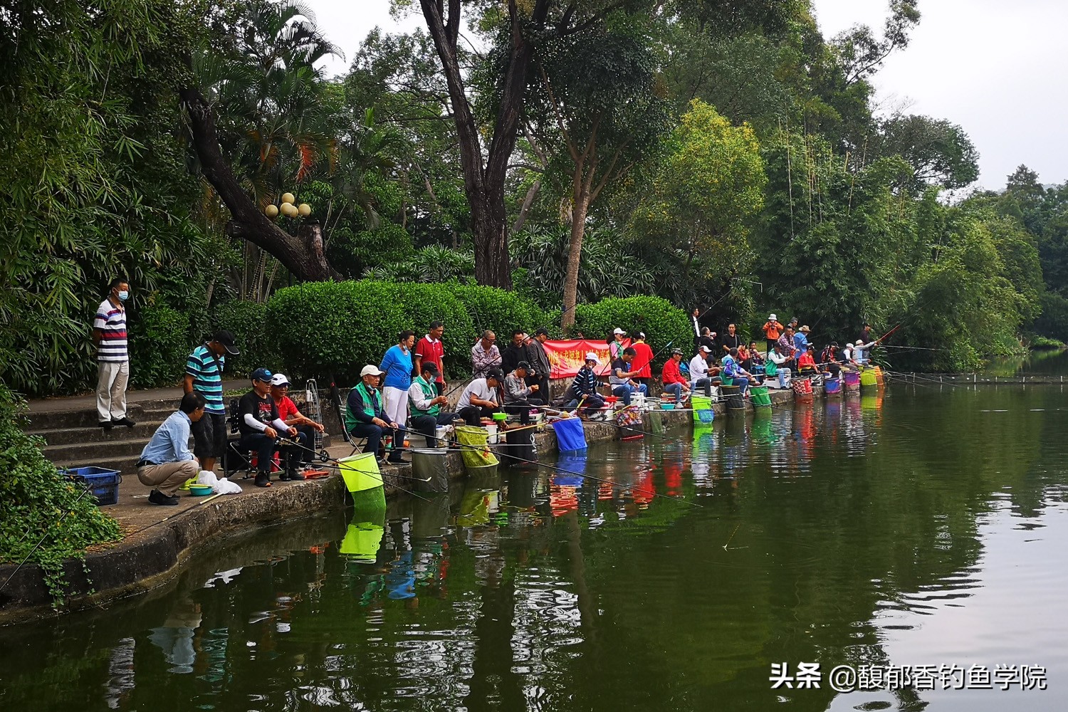 钓鱼饵料味型出错,钓鱼饵料原则及使用方法