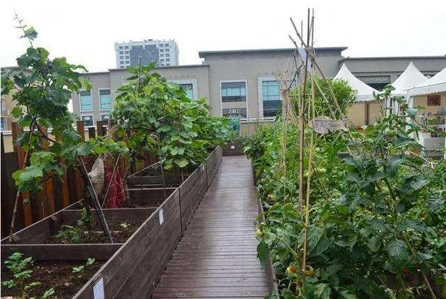 顶楼下雨漏水怎么找漏水点,下雨和太阳能漏水导致顶楼渗水