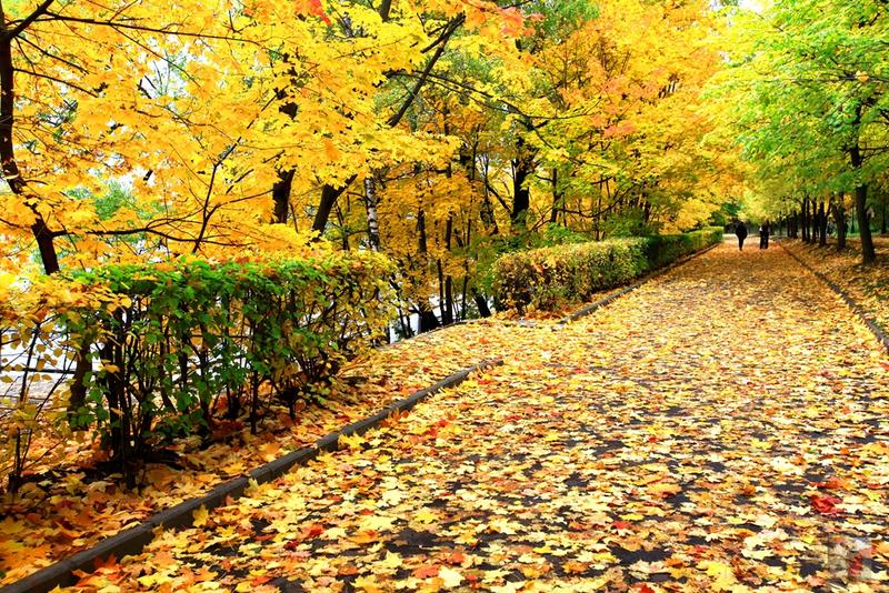 奢华宏伟,绝美的风景俄罗斯