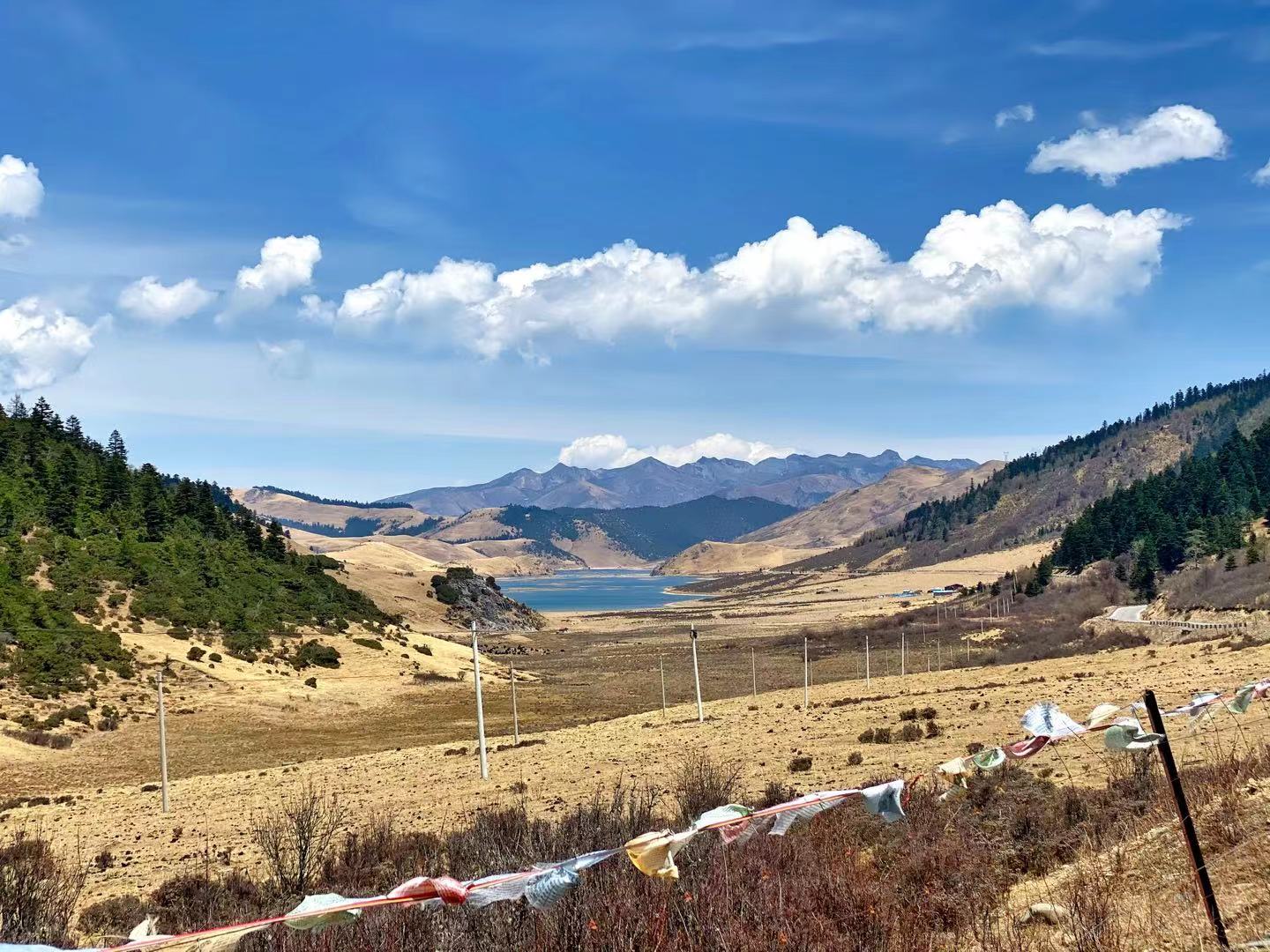 2020摩旅西藏纪录片,木里藏族自治县摩旅