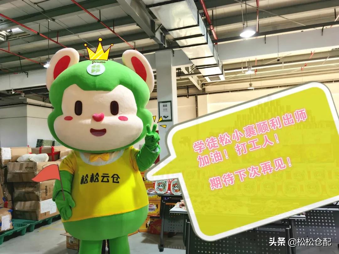 进击的松小裹丨打工人松小裹的学徒之旅