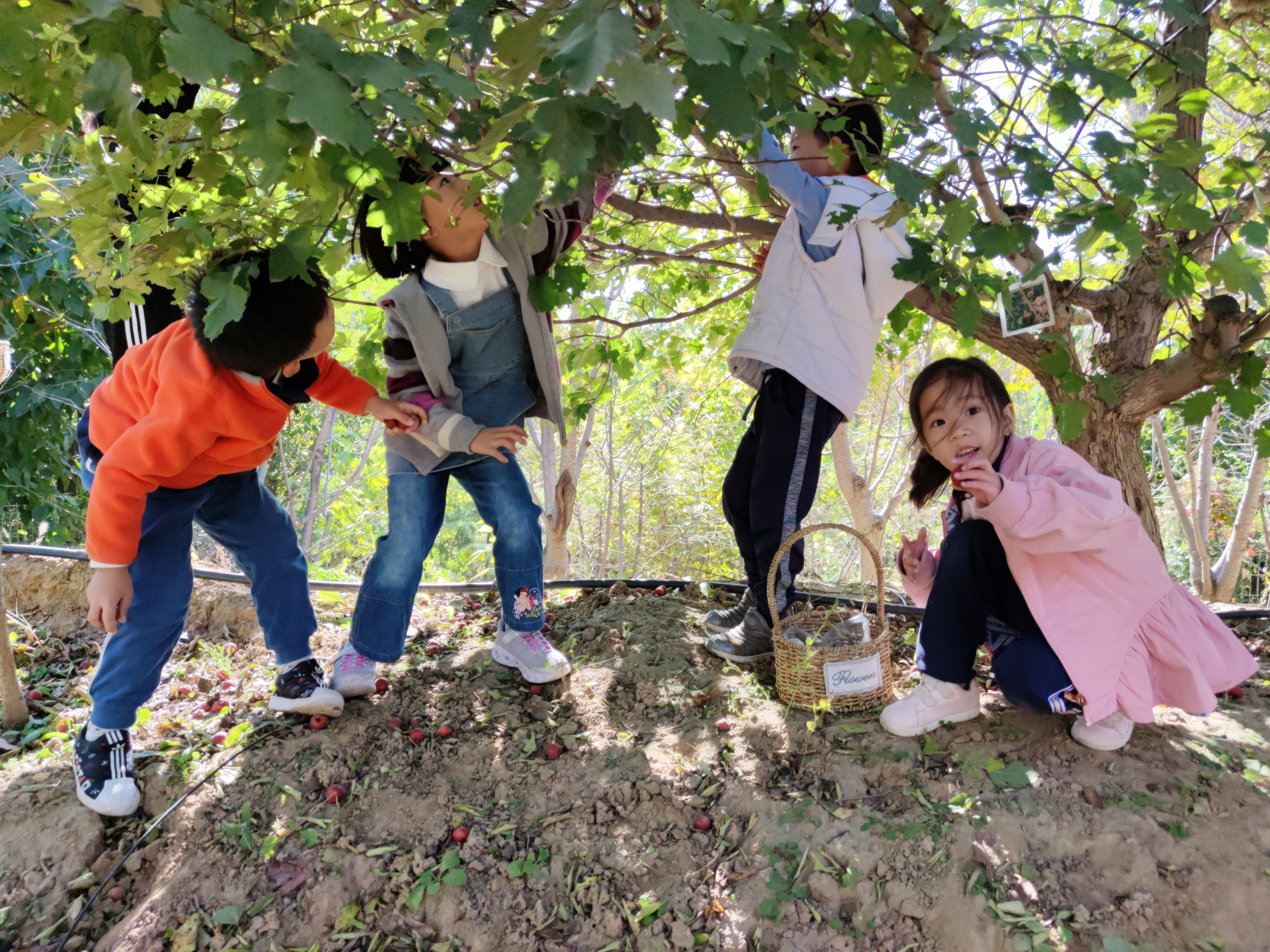 日日新小学怎么样,为什么小学要换班