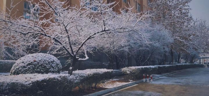 山东省曲阜市齐鲁理工学院,山东八大高校民办