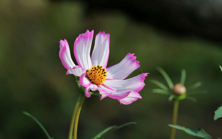 哲人哲思哲文:美女战友高丽华的《90%准则,缺陷与完美的平衡》