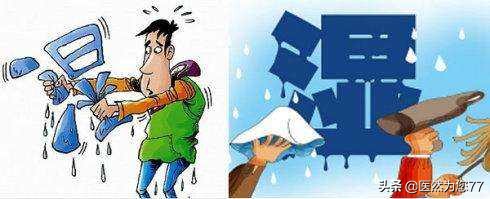 痰湿体质是什么症状吃什么中药,百病皆由痰作祟痰湿体质怎么调理