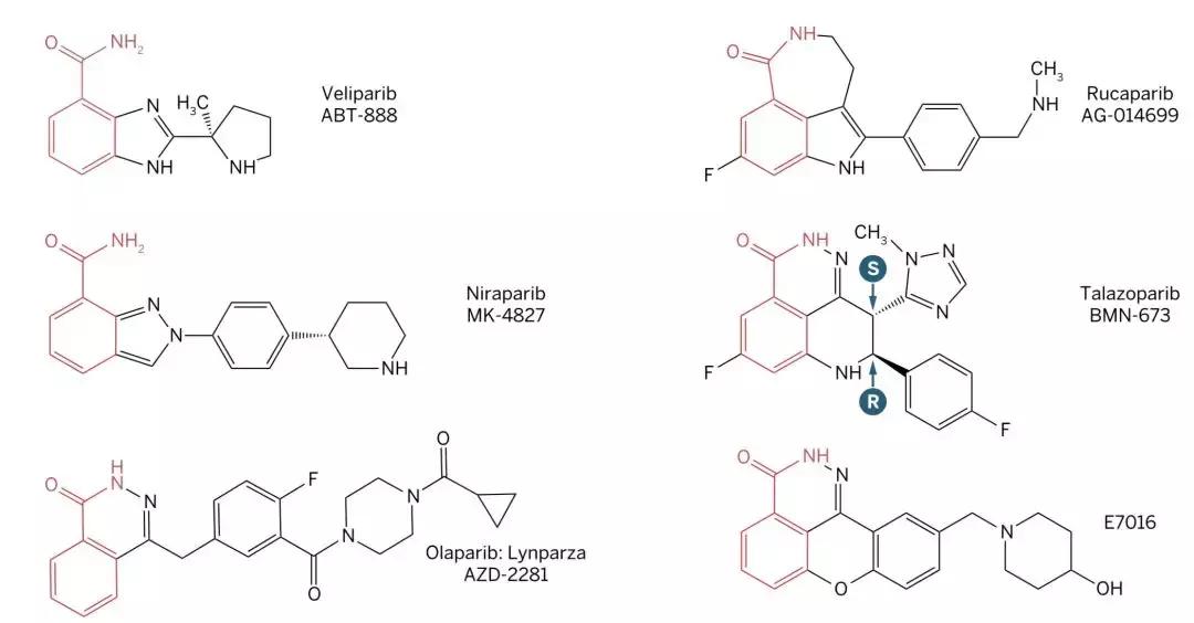 科学家找到癌细胞的生死开关,科学家找到了癌症的开关