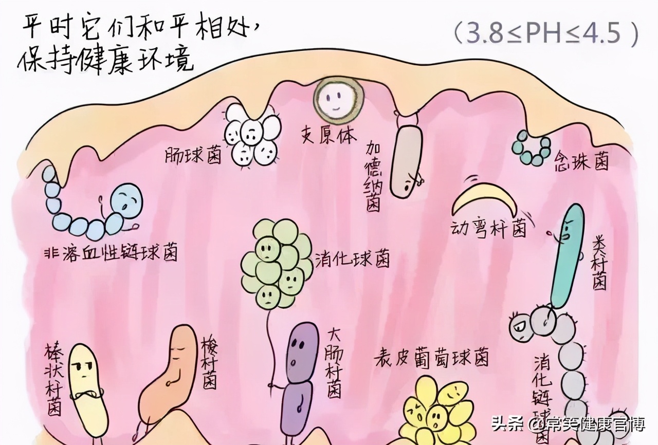 如何缓解隐私部位的瘙痒感,内侧瘙痒有异味怎么办