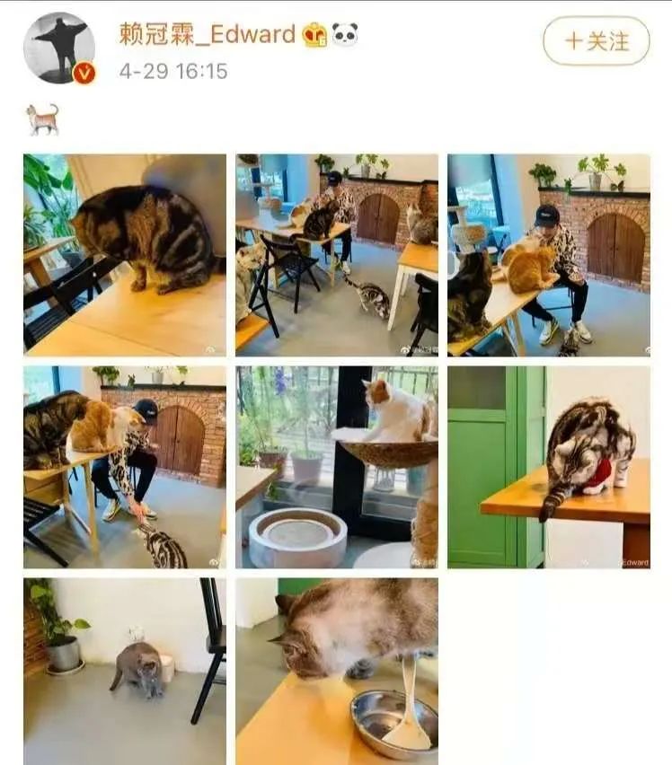 赖冠霖回应手写信,赖冠霖手写信道歉