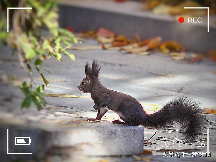 黄金海岸是海边吗,黄金海岸在哪里
