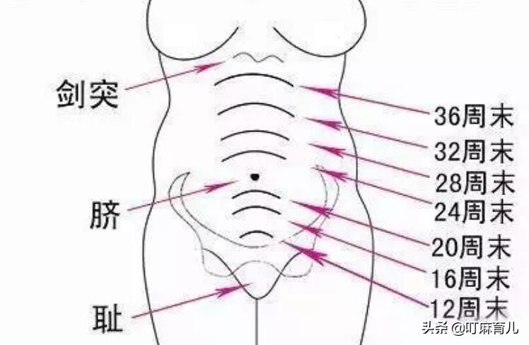 孕37周突然呼吸轻松是入盆了吗,孕40天食欲不振怎么回事