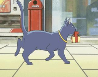 医生建议养猫治愈抑郁症,抑郁症养猫还是养狗好