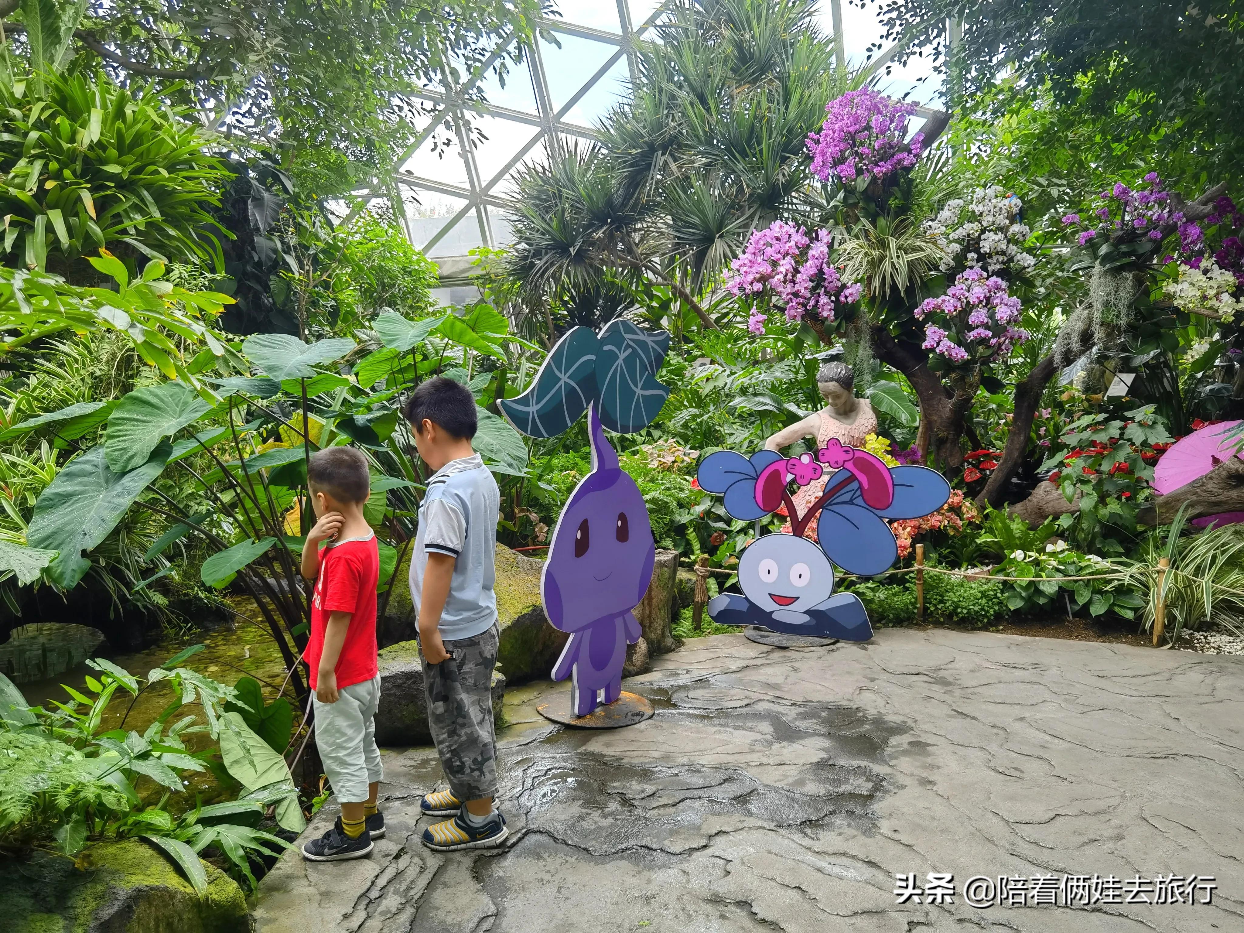 上海辰山植物园矿坑花园,辰山植物园矿坑花园修好了吗