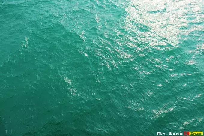 藏在日照的海边,竟然有一处世外桃源,赶海,捕鱼,温馨民宿……