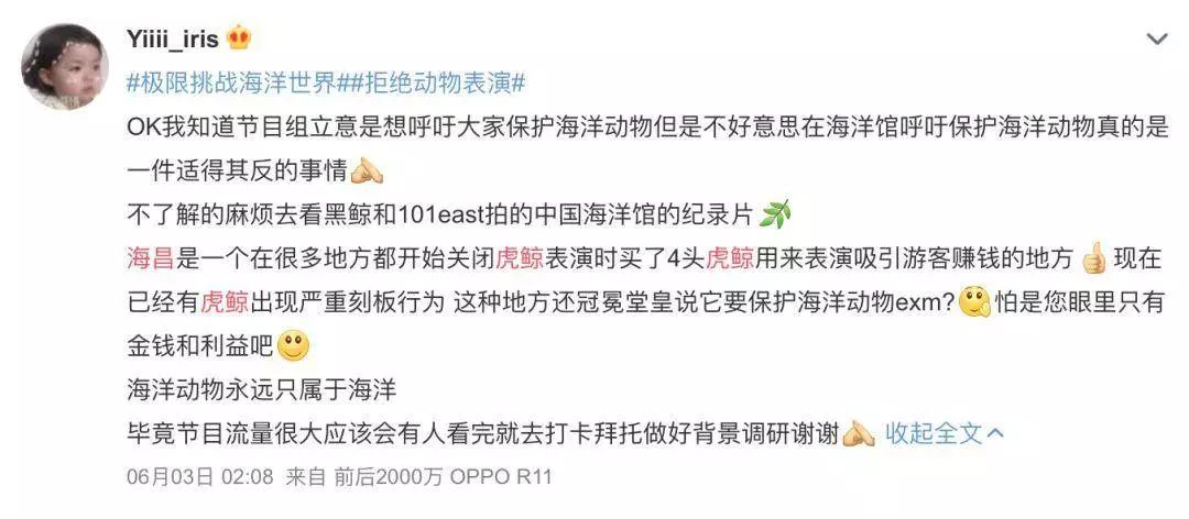 虎鲸为什么失控,虎鲸得抑郁症