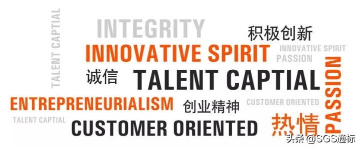 在全球知名的检测认证机构SGS工作，是种什么样的体验