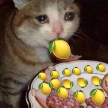 盘点！2019网络黑话！中博学员如何使用呢？