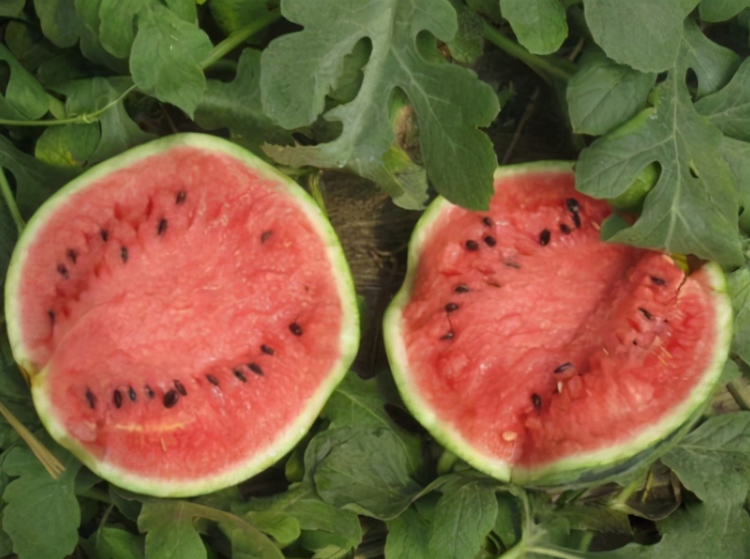 买西瓜要怎么挑,买西瓜技巧听声音高低