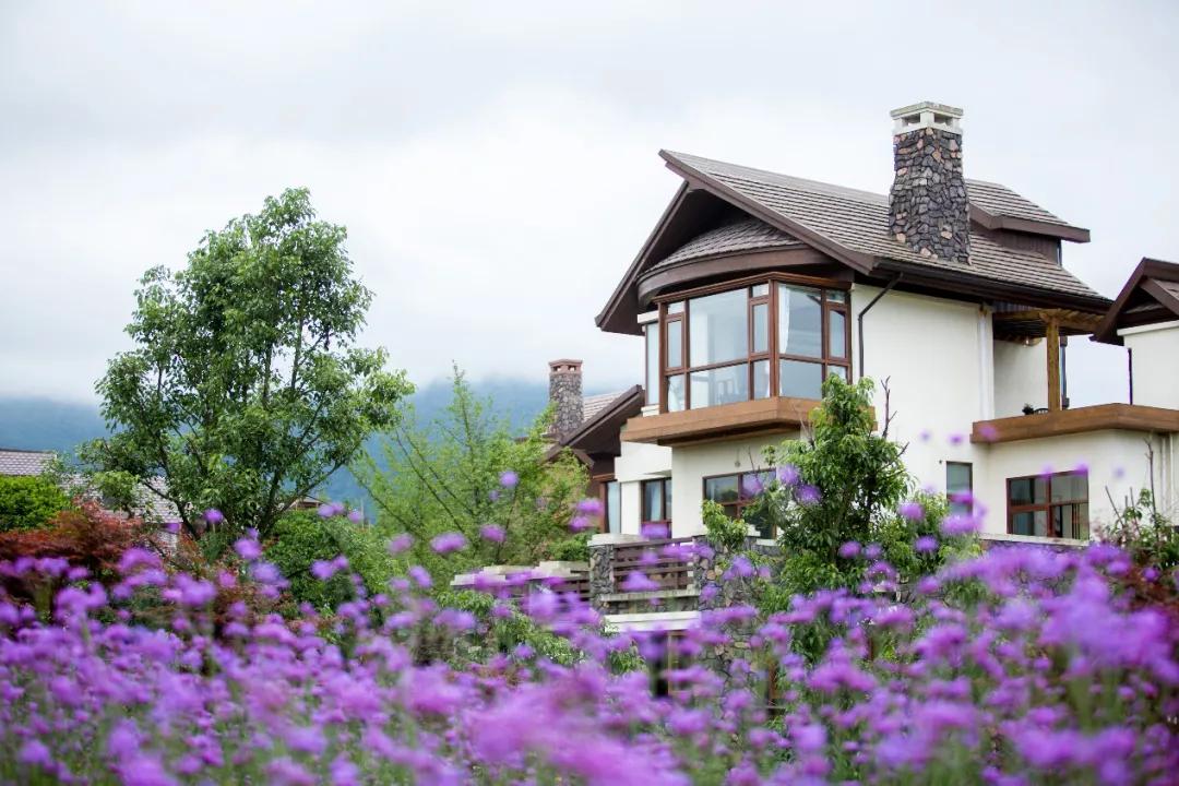 生活与态度,生活态度与健康