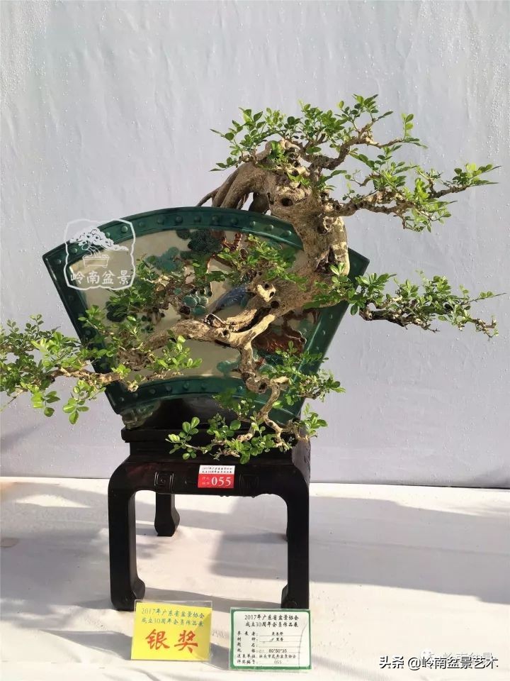 骞哥涔呬箙鐢滅敎铚滆湝,骞哥涔呬箙