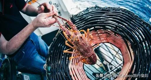 如果没有中国游客,世界该有多无聊