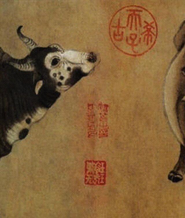 又降温了注意保暖,又降温了穿什么