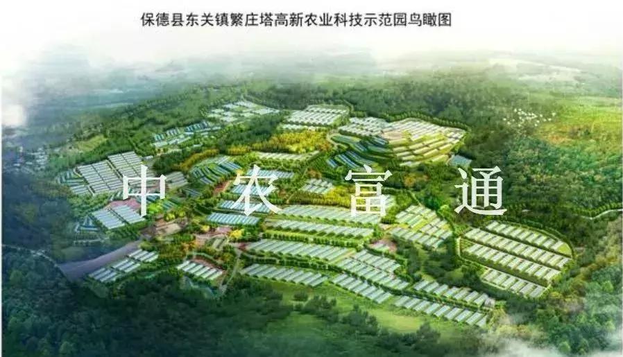 忻州保德好玩嘛,山西保德去哪玩