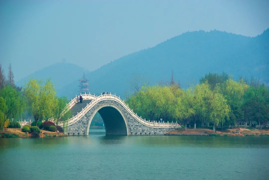 江苏什么面条好吃,江苏都有什么好吃的