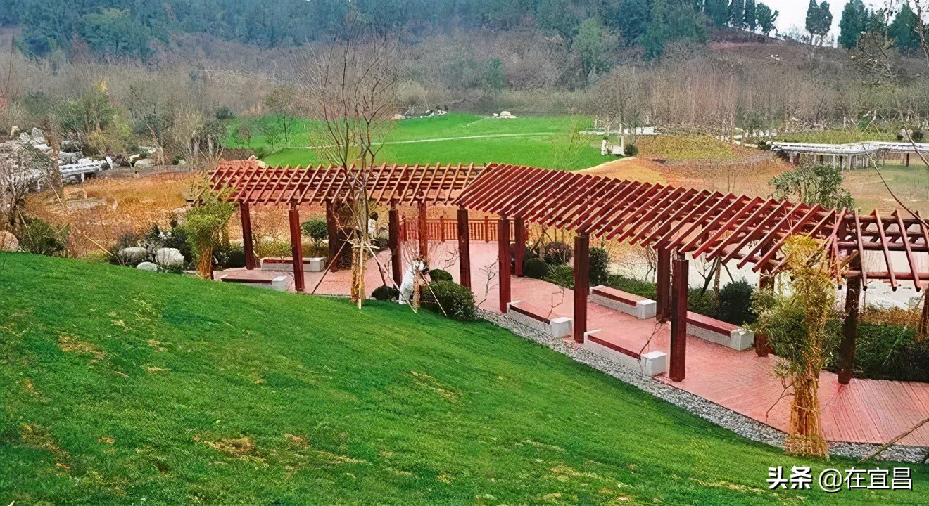 牛！这样的伍家岗，你怎能不爱