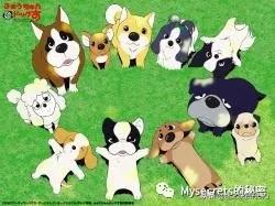 那些90年代流行的日漫,90年代的日漫女神