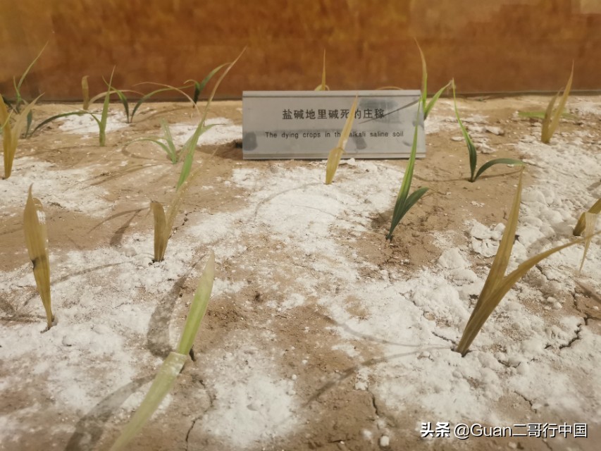 兰考县厉害在哪,河南兰考县啥出名