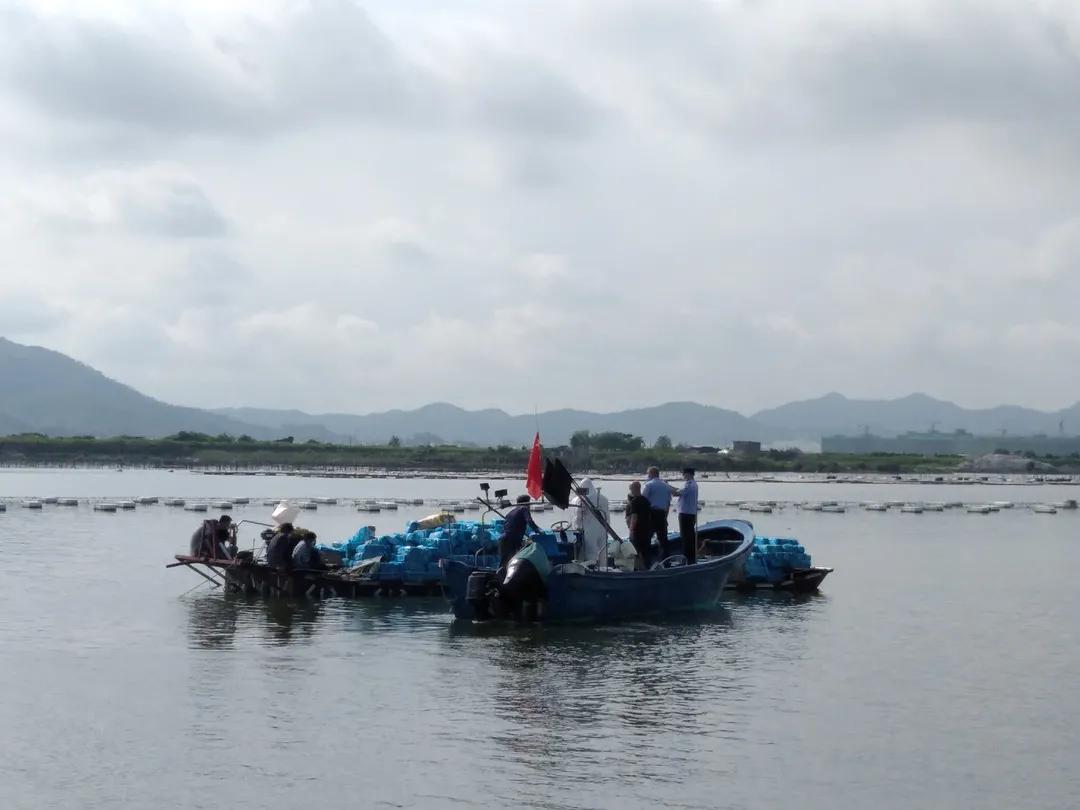 对违法行为说不,对不合理行为要说不