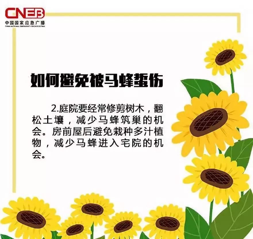 被马蜂蛰过敏性休克的急救措施,儿童被马蜂蛰了看不到毒刺