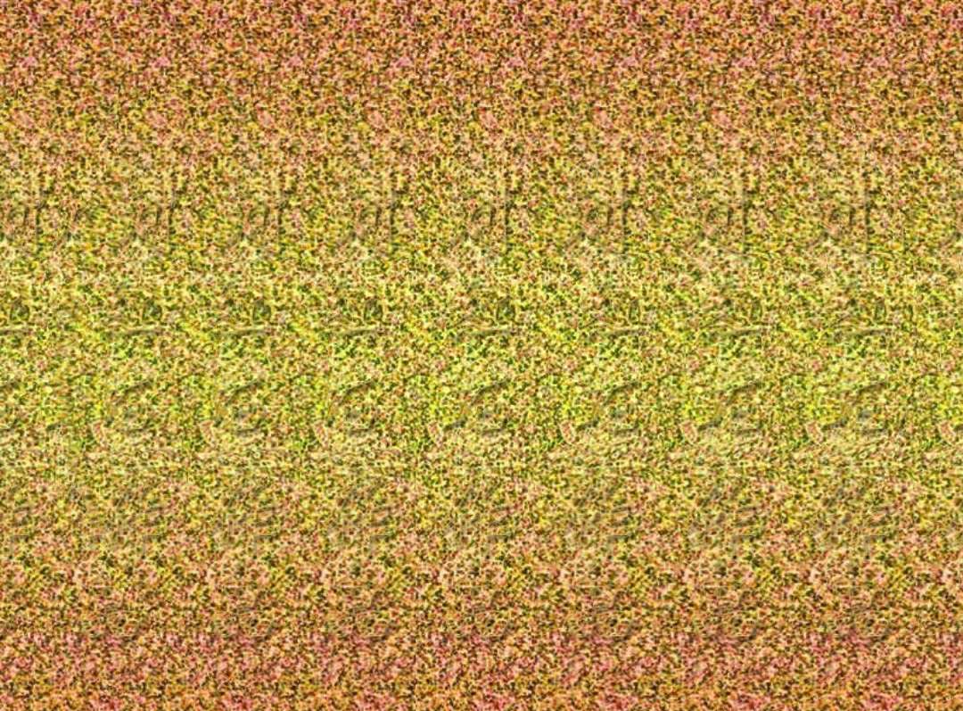 有意思的三维视频,三维立体图片大全