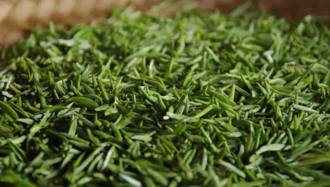 云游中国四川,云游四川